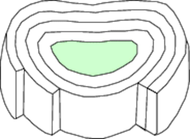 写真のタイトル