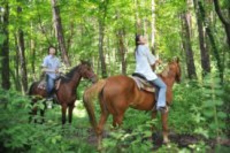 自然の中で何もしないという贅沢