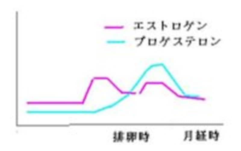 エストロゲンが多いと酔いやすい
