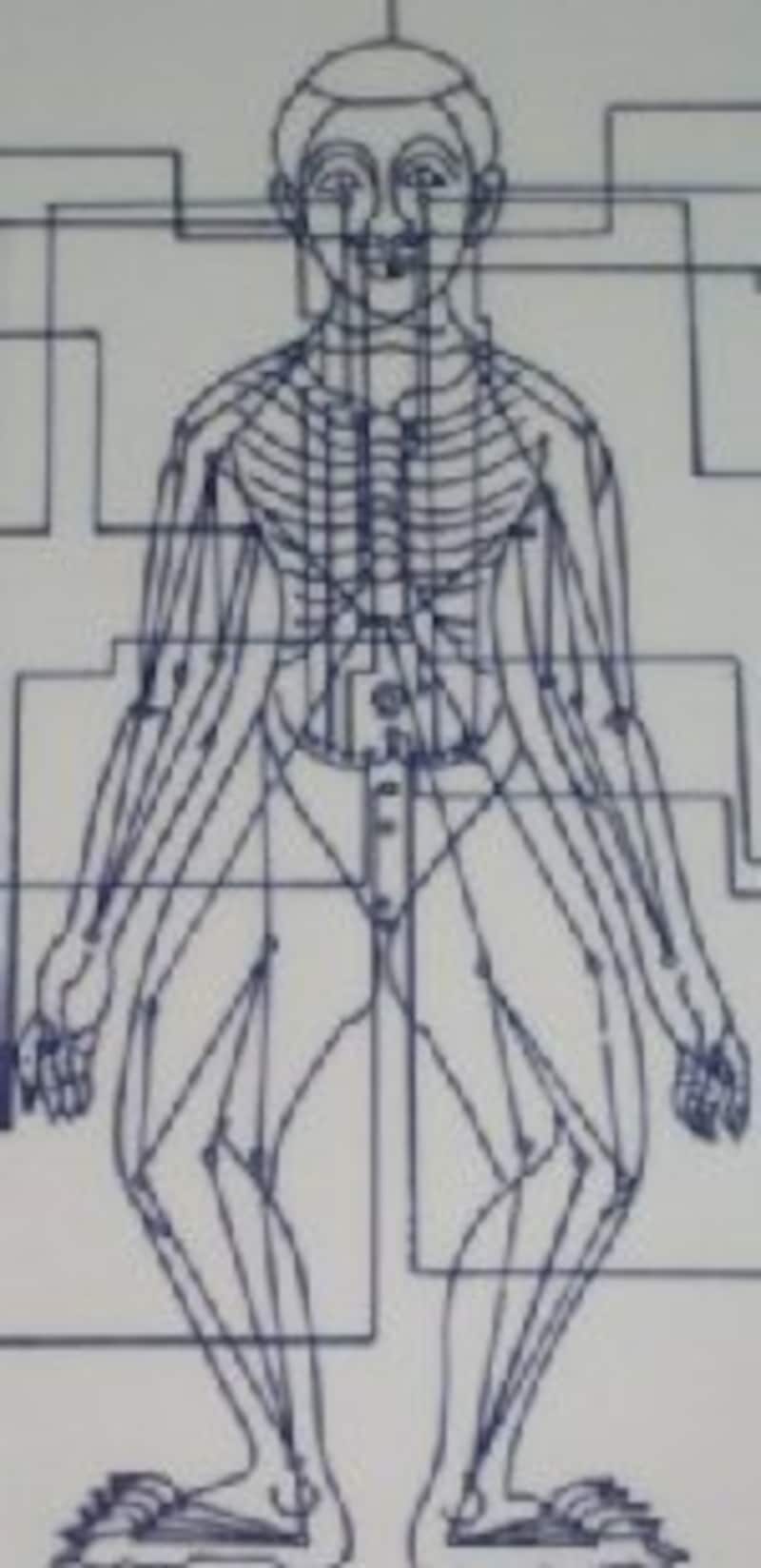 『セン』という体のラインにそってする指圧とストレッチが基本!