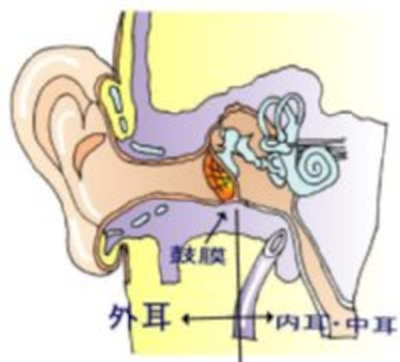 内耳の水ぶくれがメニエール病の原因と言われています