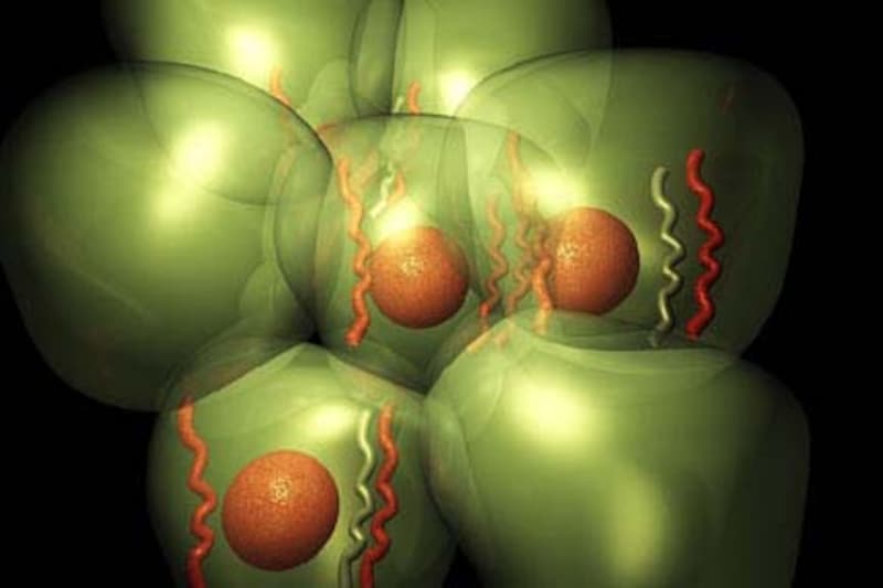 子宮体がんと頚がんの違いは場所だけじゃなく細胞の種類も違う!