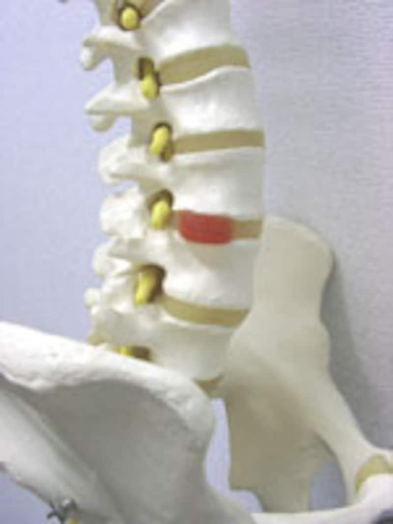 写真のタイトル