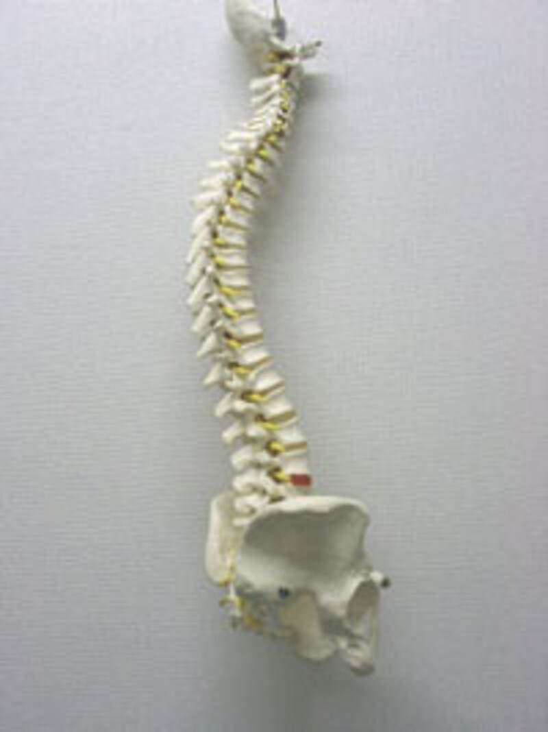 写真のタイトル