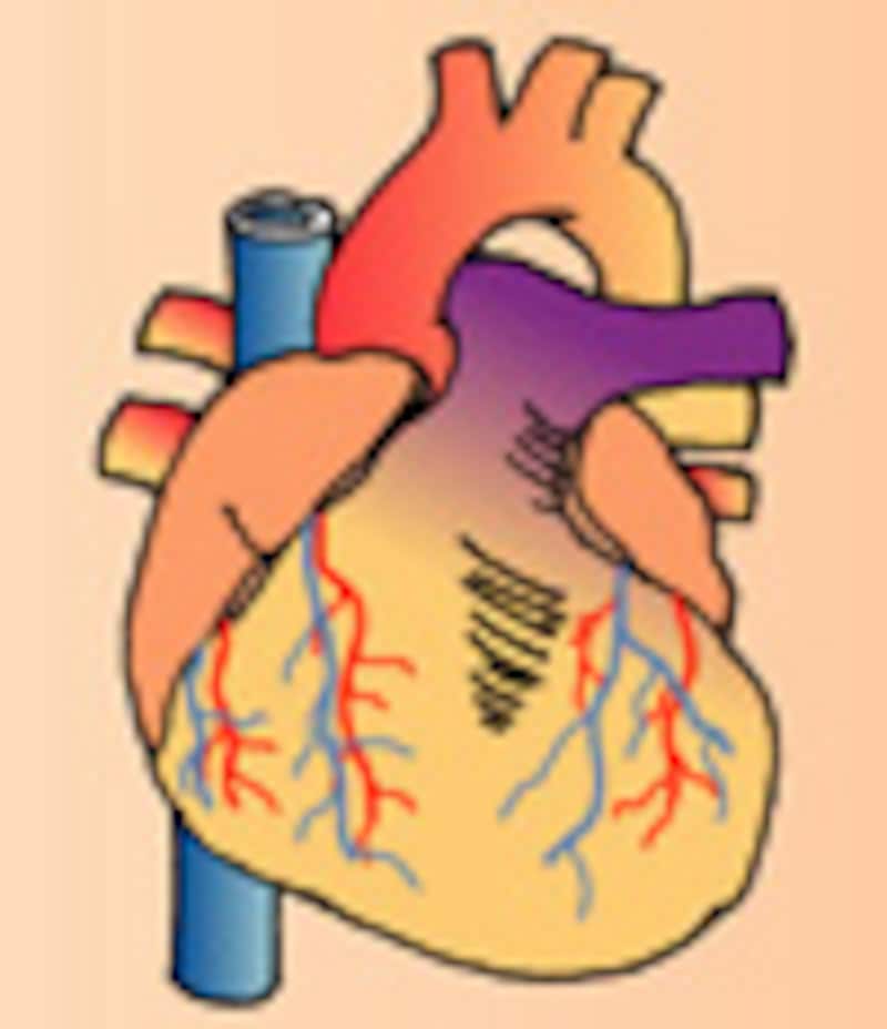 hart