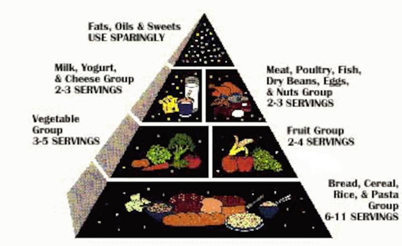 アメリカusdaの食品ピラミッド