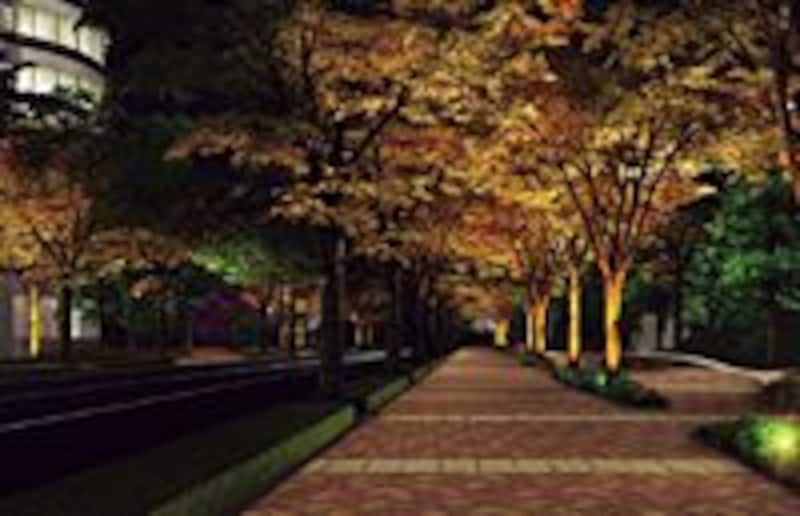 パークシティ武蔵小杉