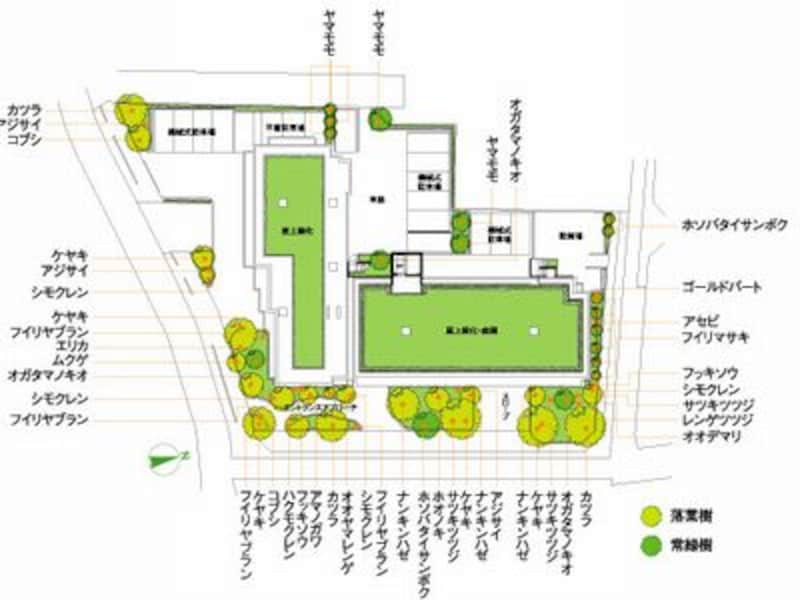 エコヴィレッジ朝霞本町のランドスケープ
