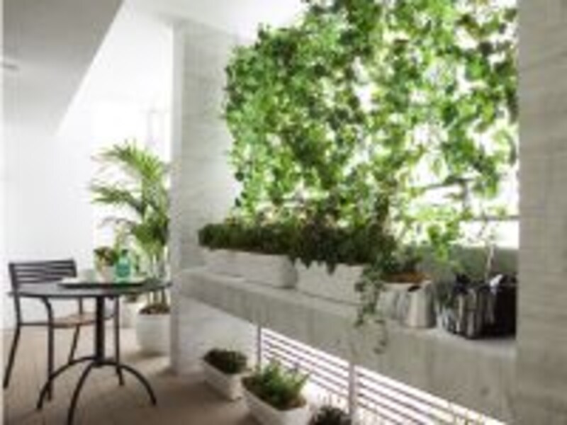 プランター置場