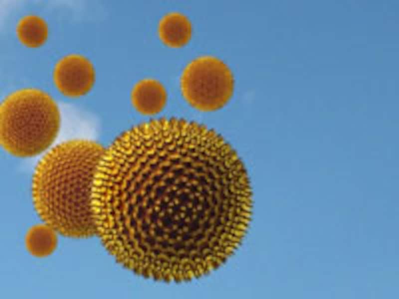 pollen.jpg"