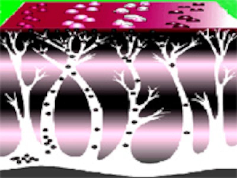 singles_帯状疱疹"