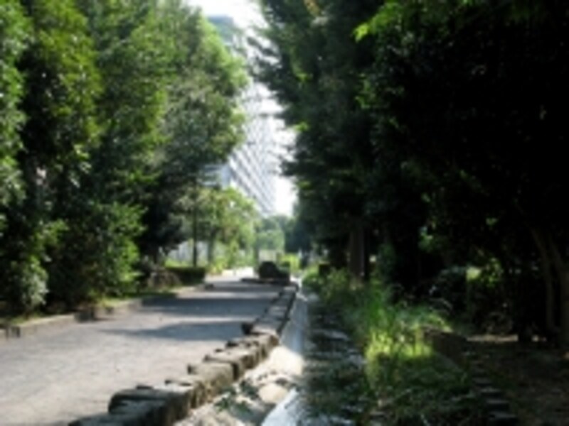 是政の大規模マンション