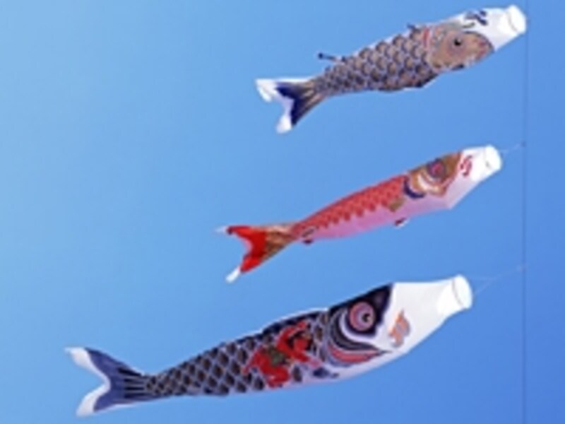 こいのぼり
