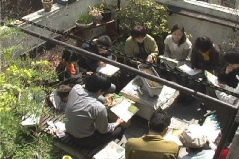 谷町空庭の空畑