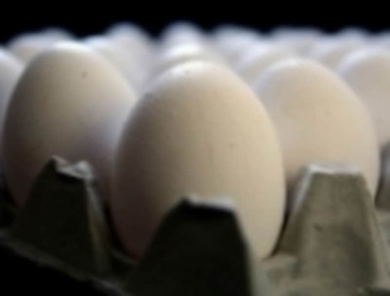 卵なども、ほどよく食事に取り入れることが大切