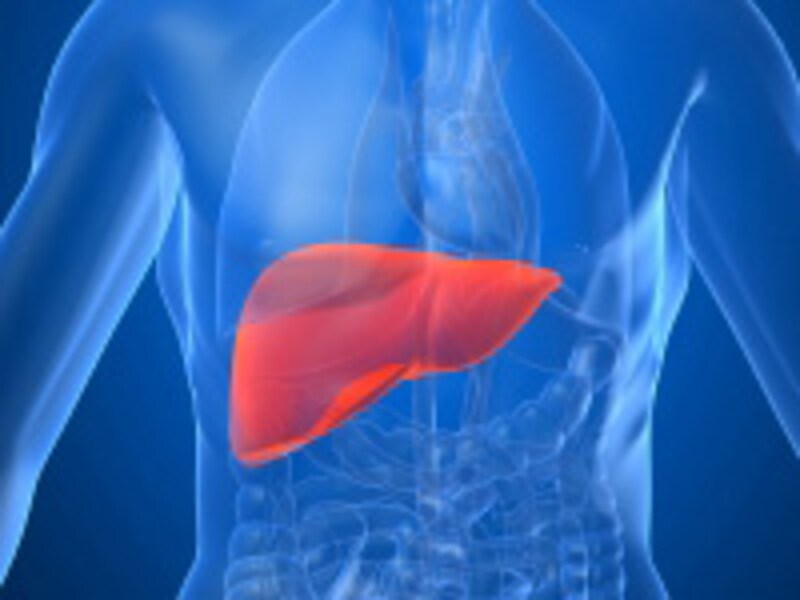 liver_1.jpg