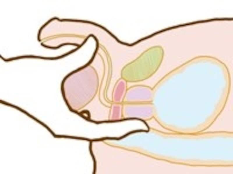肛門から指を入れ、前立腺の大きさや形、硬さなどを調べる