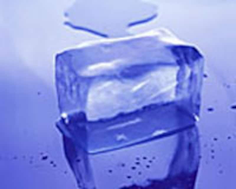 写真のタイトル