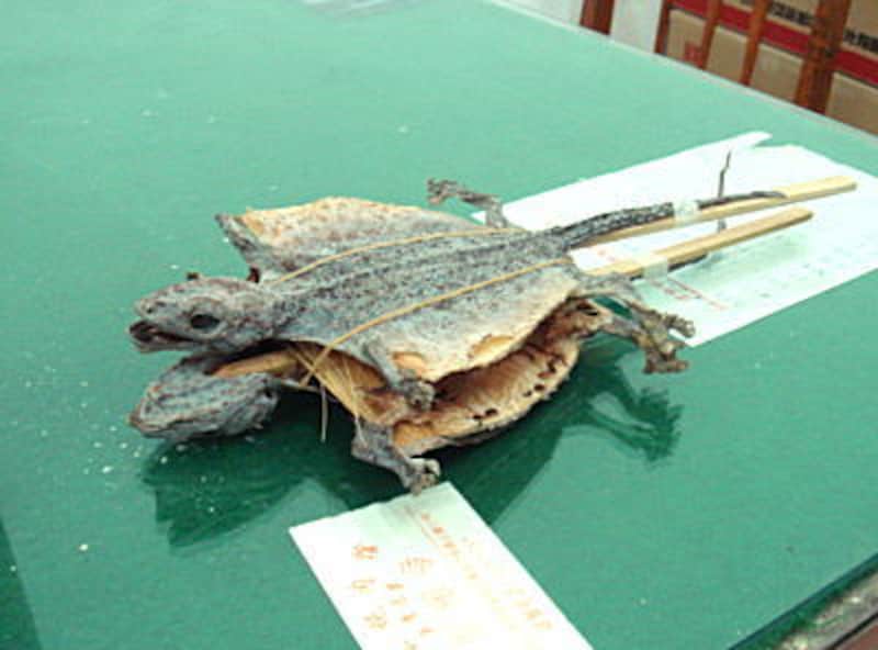 生薬の例