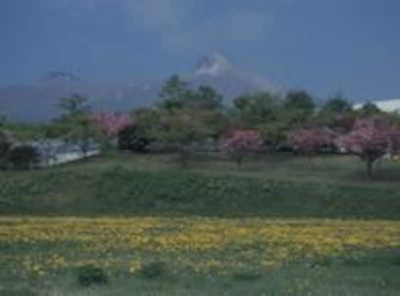 駒ケ岳の春