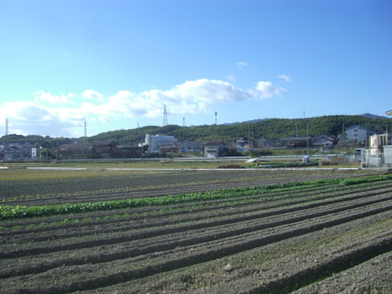 農地2