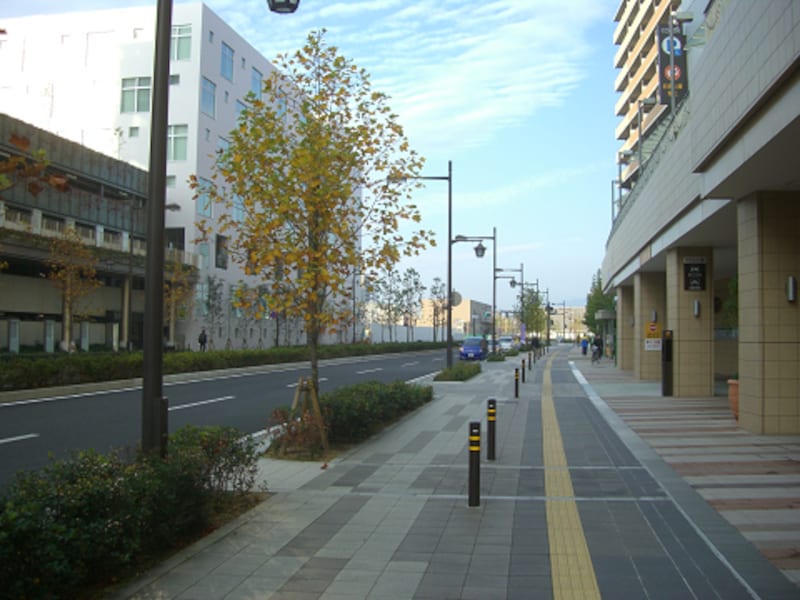きれいな歩道