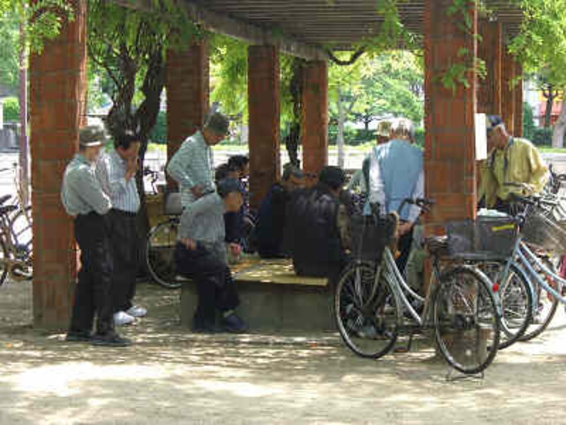 住吉公園で将棋