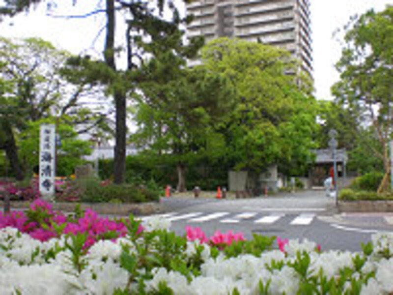 緑が多い役所近辺