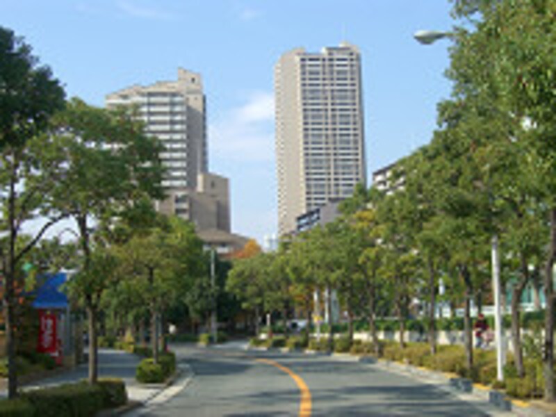 リバーシティ南側道路