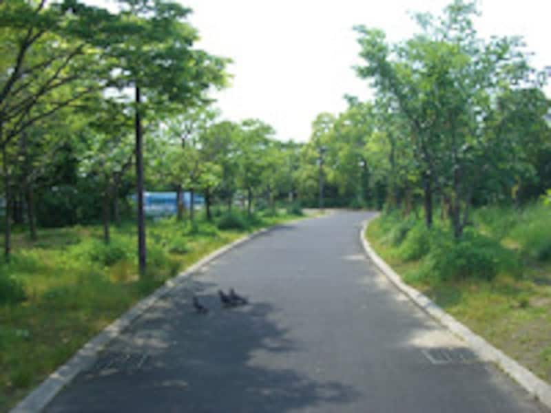 済正会泉尾病院近辺の緑道