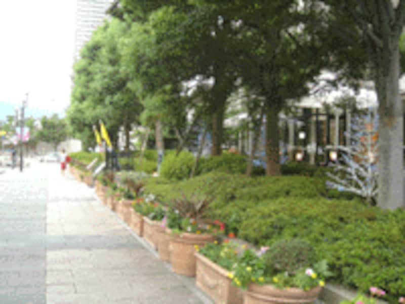 六甲アイランド駅前