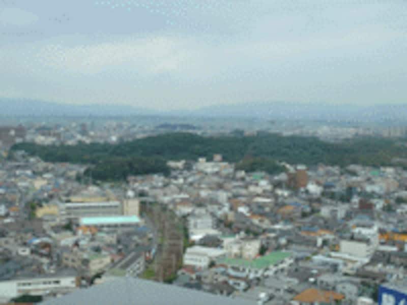 堺市役所の展望ロビーから見た仁徳天皇陵。市街地のあちらこちらに古墳群があり歴史を感じる。