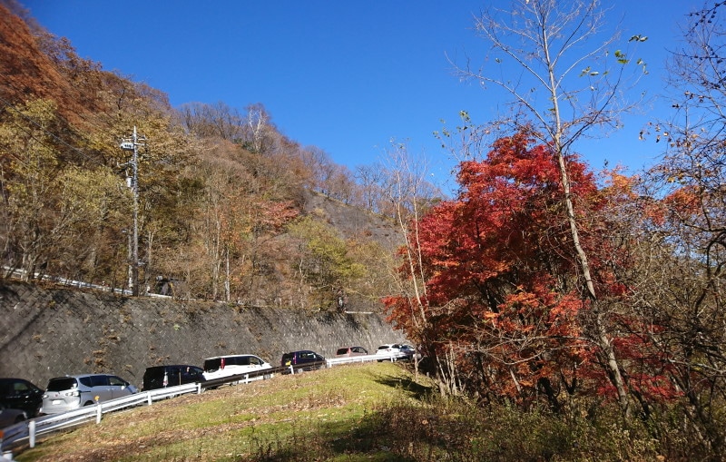 いろは坂の紅葉（4）