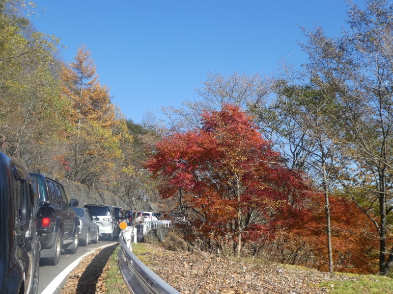 いろは坂の紅葉（5）