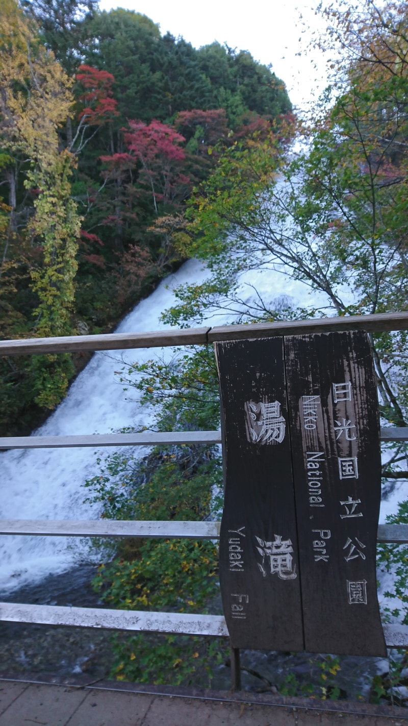 湯滝の紅葉・黄葉（1）