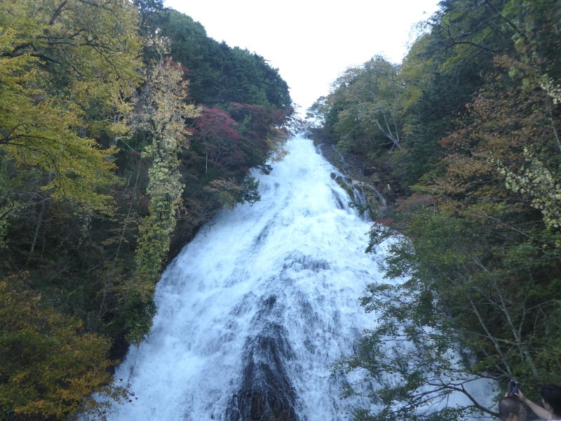 湯滝の紅葉・黄葉（2）