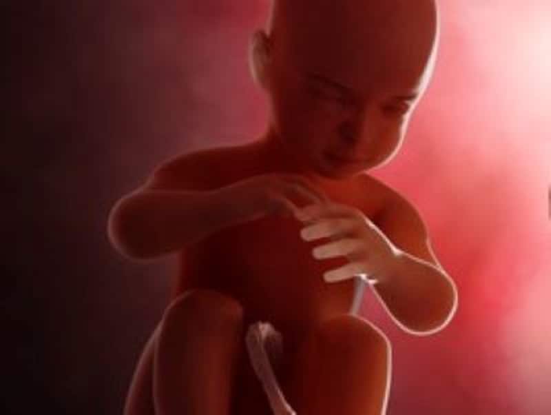 妊娠38週 胎児の体重やエコー写真 子宮口の開きや出産の流れ 妊娠後期 All About