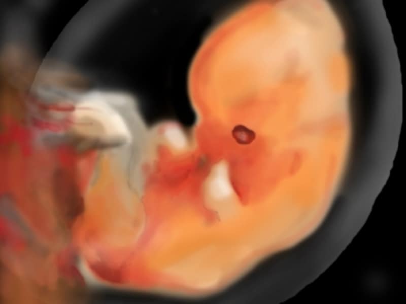立派な 胎児 成長 写真 赤ちゃんの壁紙
