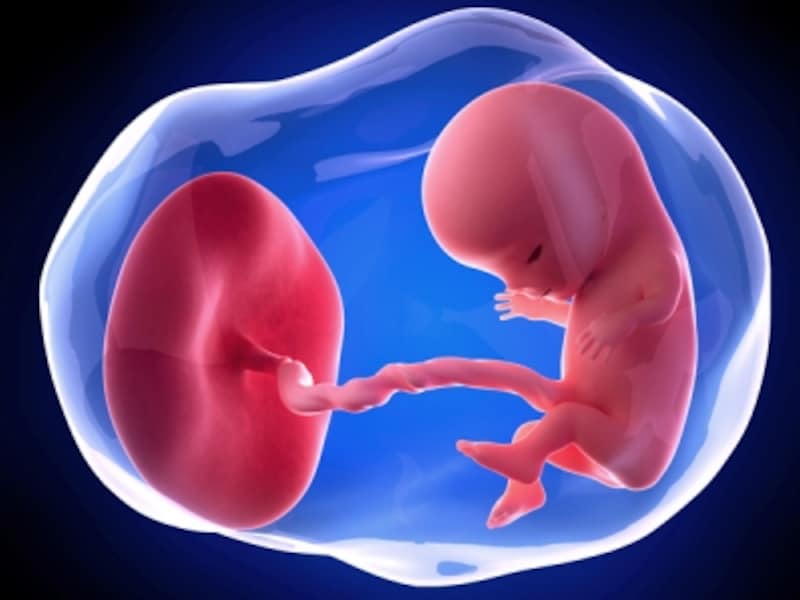 妊娠11週目エコー写真や胎児の大きさ平均・流産原因や症状 [妊娠初期] All About