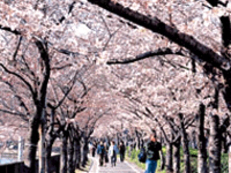 セントプレイズ大阪