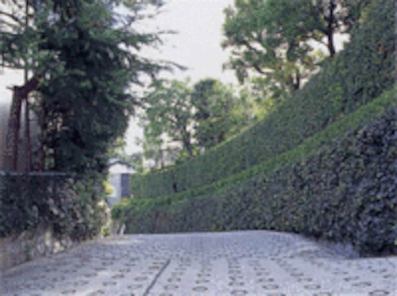 レ・グランディア芦屋