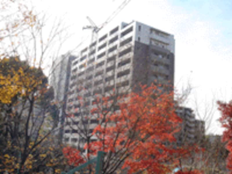 大規模マンション