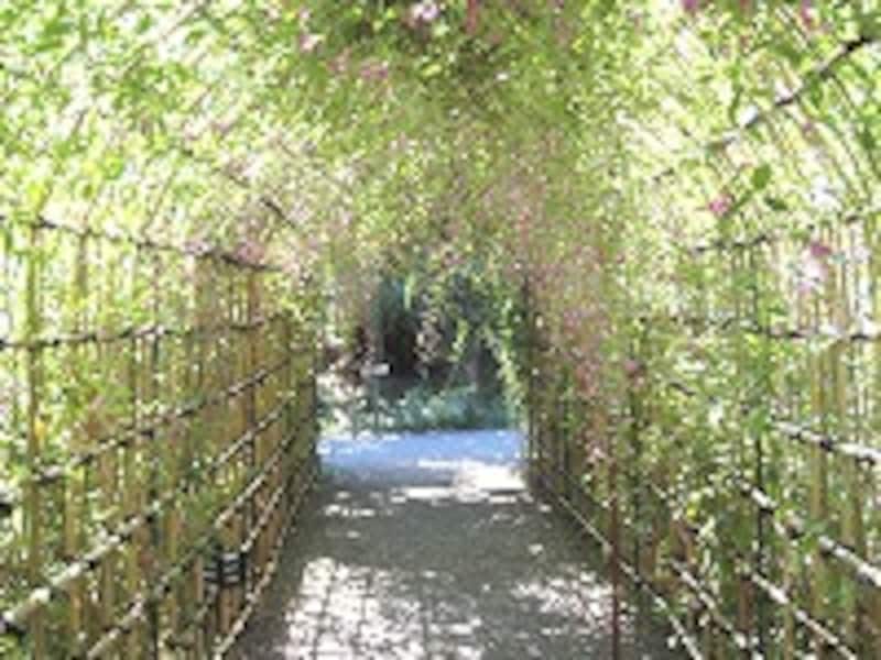 向島百花園