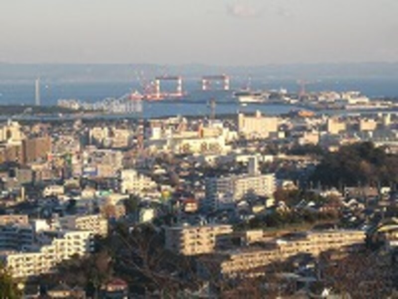 山から見下ろす海の風景