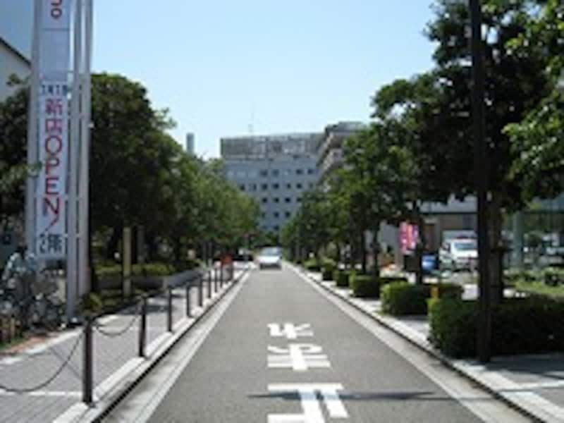 芸術館通り