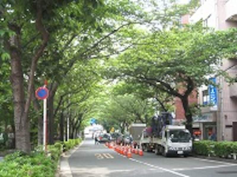 かむろ坂通り
