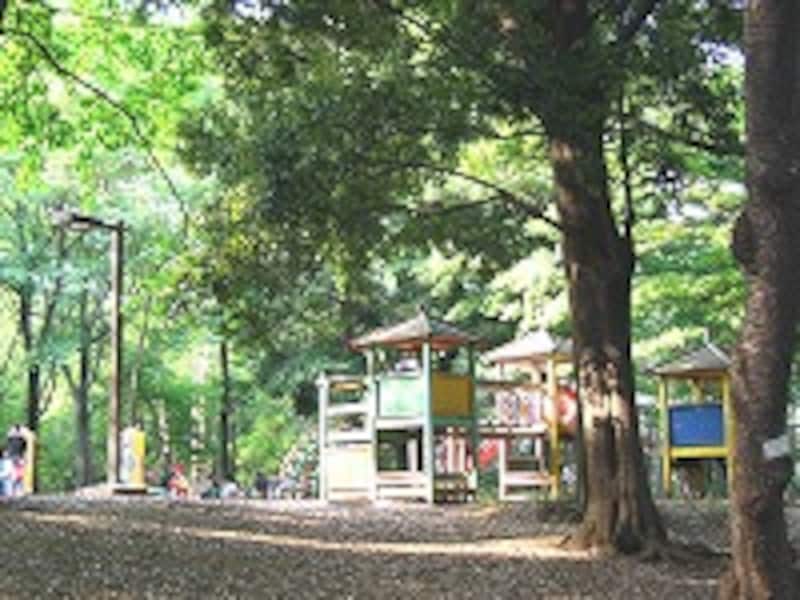 林試の森公園