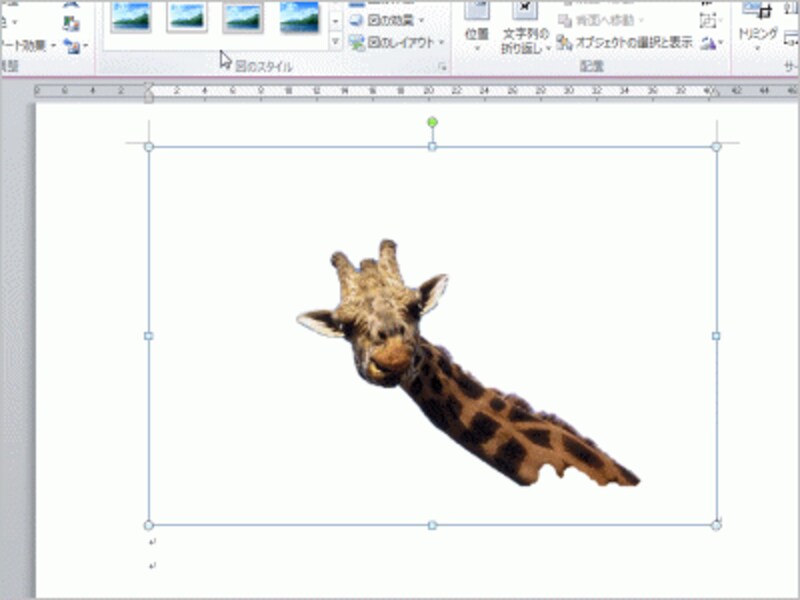 画像の背景が削除されました