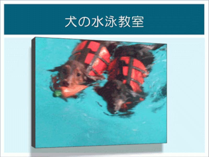 ビデオにスタイルが付いた