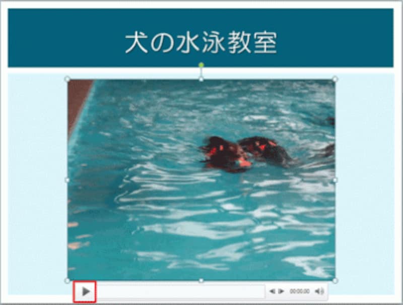 撮影したビデオの1コマ目がスライドに表示された。「再生」ボタンをクリックするとその場で再生できる